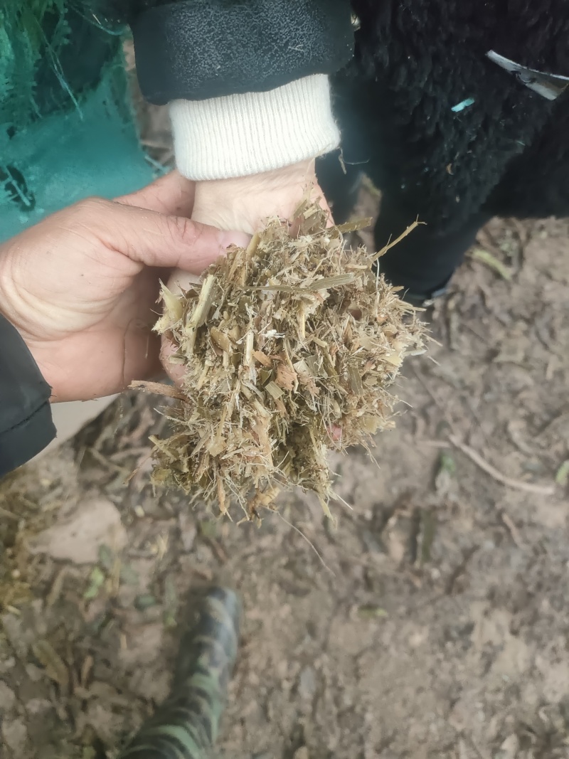 我有700吨皇竹草，打包好的。可以送货上门