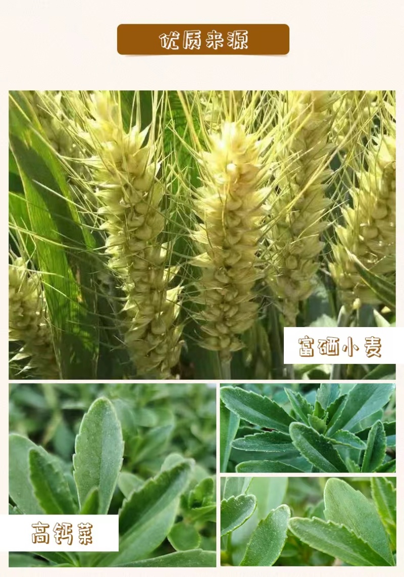 富硒高钙蔬菜挂面原质原味原色的原生态品质