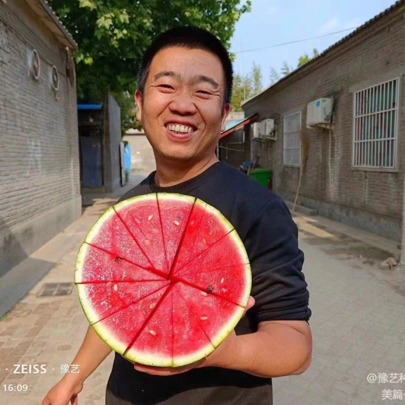 富豫三号早熟甜王的外观美都的口感不空心不厚皮28天成熟