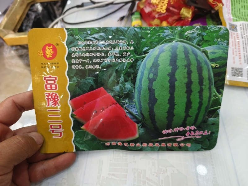 富豫三号早熟甜王的外观美都的口感不空心不厚皮28天成熟