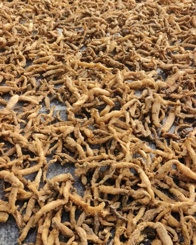 多花倒苗黄精干货，产品优质，量大从优，诚信经营，欢迎致电