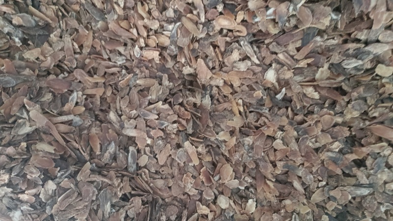 红参片皮，红参无糖参片，产地现货包邮到家，快速发货