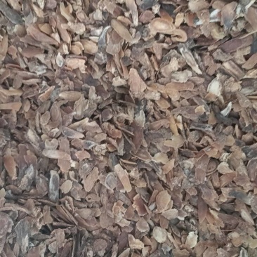 红参片皮，红参无糖参片，产地现货包邮到家，快速发货