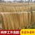 红薯粉条/口感软糯可定制包装/大量上市基地直发/对接全国