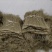 红薯粉条/口感软糯可定制包装/大量上市基地直发/对接全国