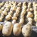 《内蒙土豆》内蒙实验1号/沃土5号/品种齐全对接全网便宜