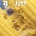 【东北玉米】吉林黏玉米/品种齐全/价格优惠/对接全网便宜