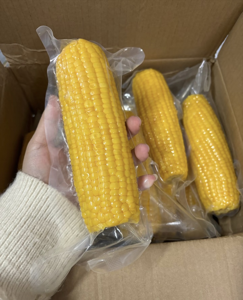 【东北玉米】吉林黏玉米/品种齐全/价格优惠/对接全网便宜