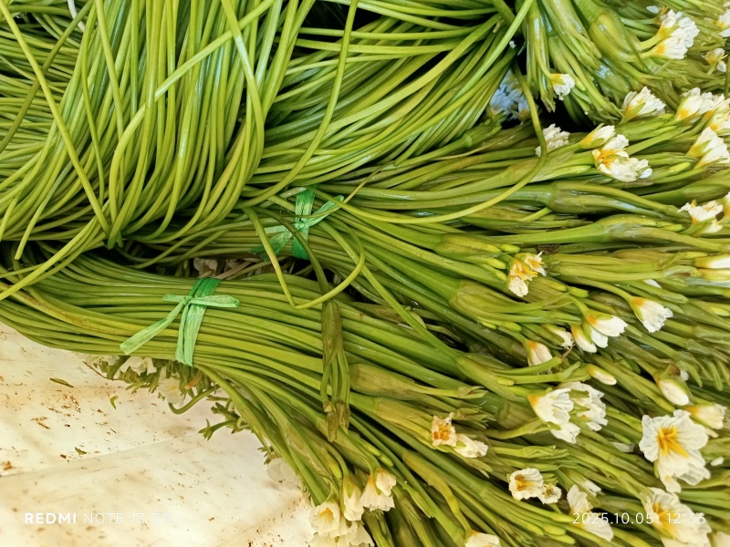 海菜花，产地直供，现采现发，常年有货，货源充足稳定，价格实惠