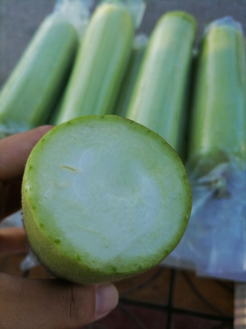白玉丝瓜，精品，餐饮供应