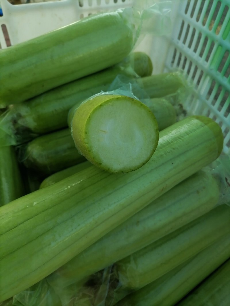 白玉丝瓜，精品，餐饮供应