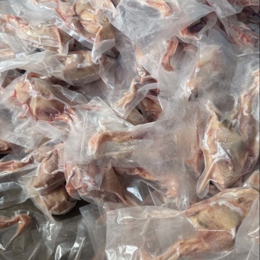 6两半净膛