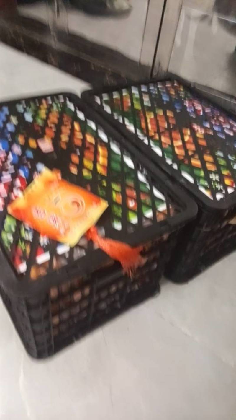橙子