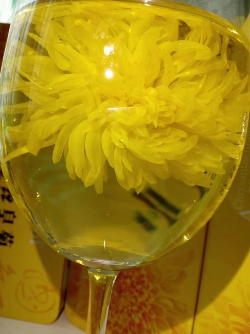 恩施富硒金丝皇菊