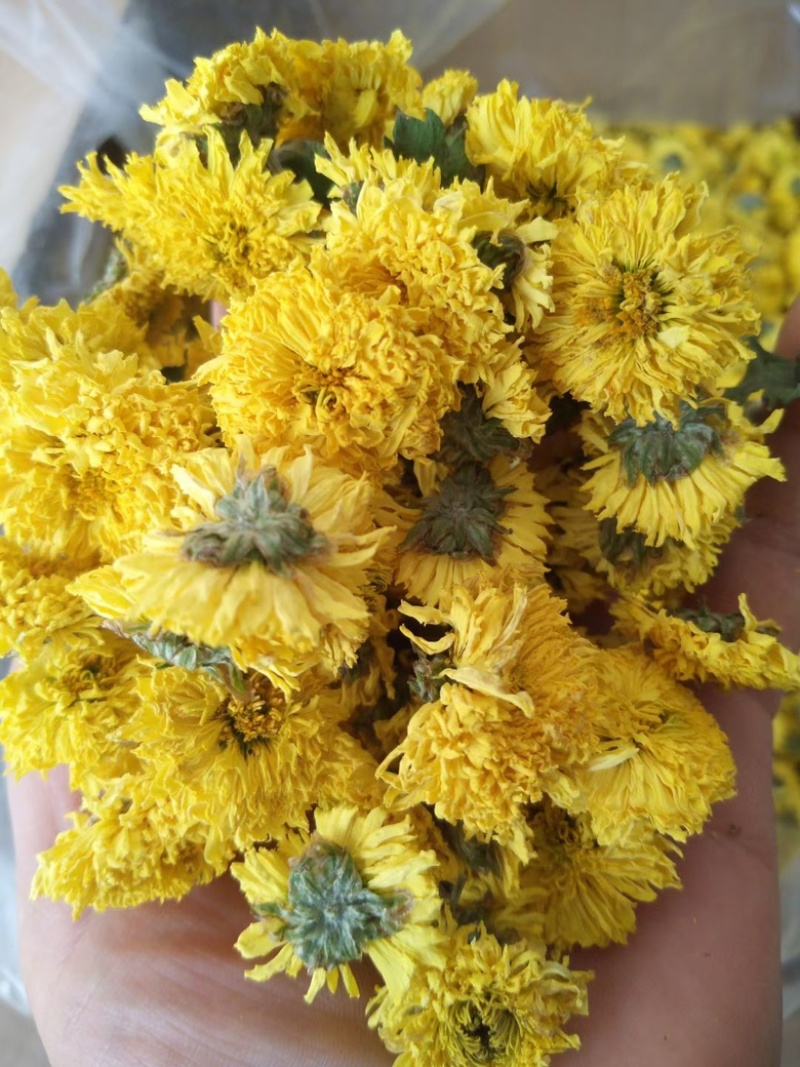 恩施富硒金丝皇菊
