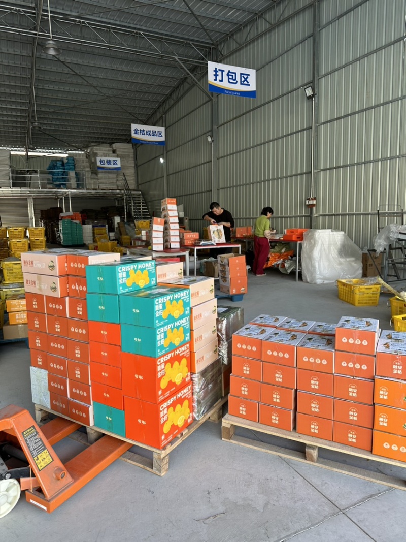 融安脆蜜金桔脆蜜金柑产地直发，对接各大电商、支持一件