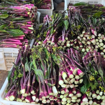 湖北红菜苔清甜