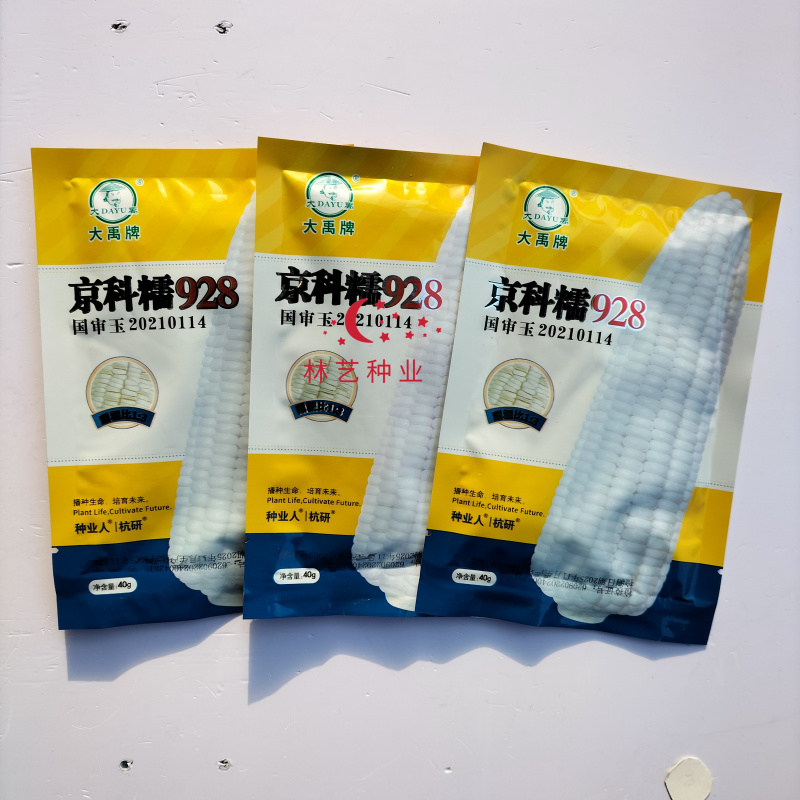 京科糯928白甜糯玉米种子口感好甜糯大棒高产春秋播粘糯