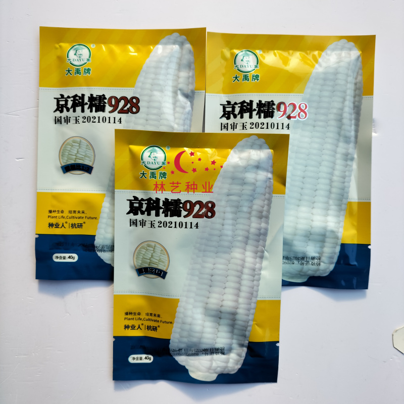 京科糯928白甜糯玉米种子口感好甜糯大棒高产春秋播粘糯