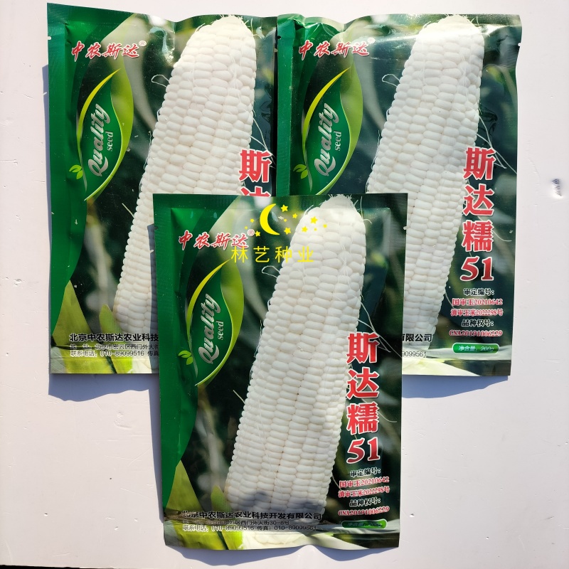 斯达糯51玉米种子超糯鲜食白糯玉米抗病丰产南北方春夏秋季
