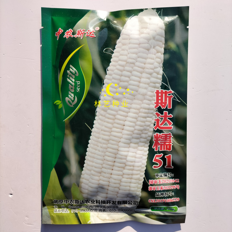 斯达糯51玉米种子超糯鲜食白糯玉米抗病丰产南北方春夏秋季