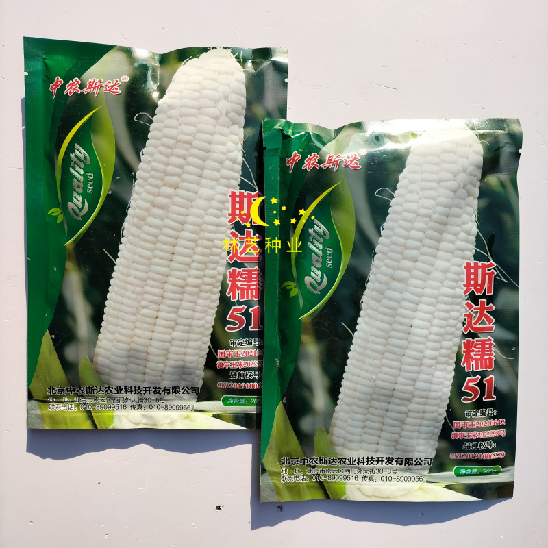 斯达糯51玉米种子超糯鲜食白糯玉米抗病丰产南北方春夏秋季
