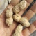 河南周口，花生，纯花生油，不勾兑，天然食品，欢迎选购。