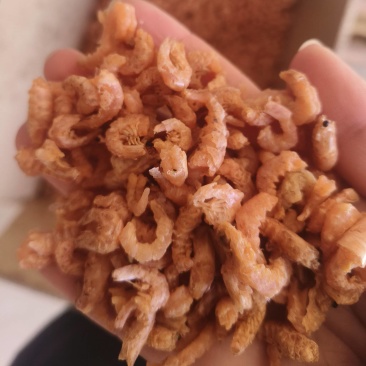 金钩海米，小虾仁，电商**，地摊神器
