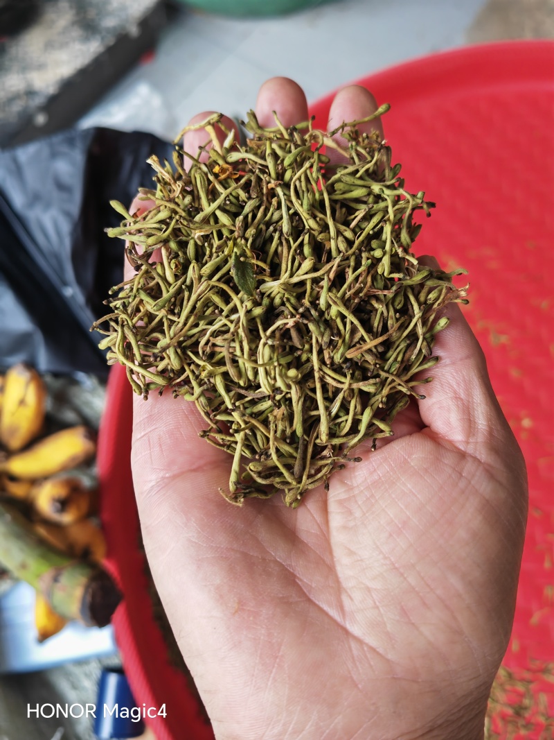 安龙金银花，花蕾，无硫，太阳哂干，颜色好，货量冲足