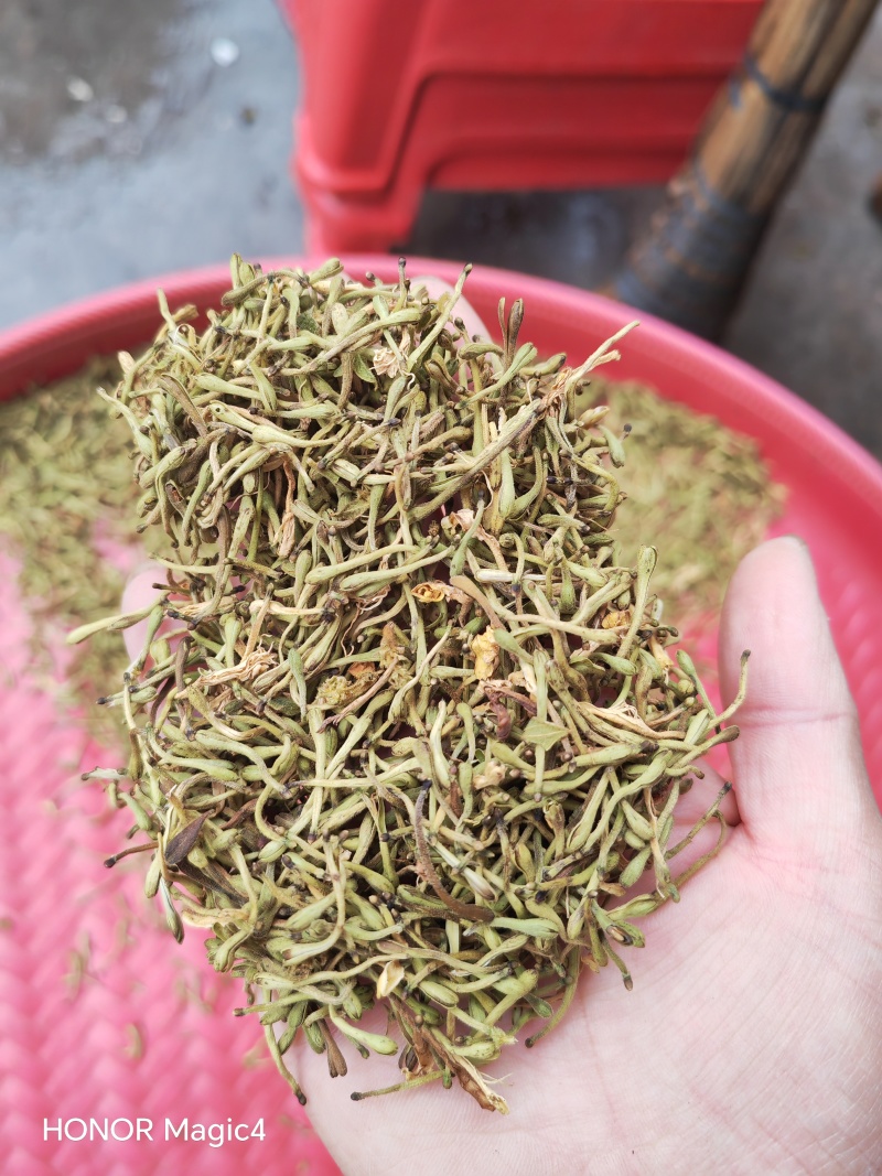 安龙金银花，花蕾，无硫，太阳哂干，颜色好，货量冲足