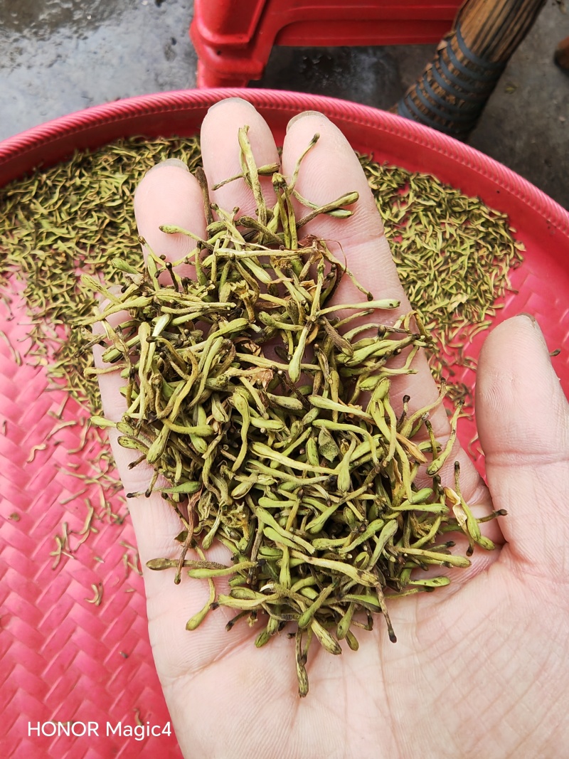 安龙金银花，花蕾，无硫，太阳哂干，颜色好，货量冲足