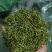 贵州安龙金银花花蕾净籽无硫，长期有货供应，量大价钱可优惠