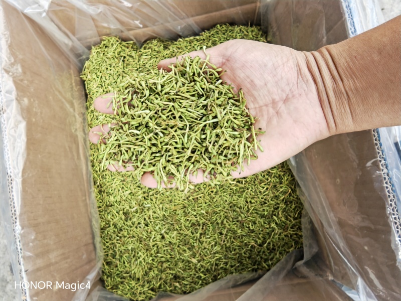 贵州安龙金银花花蕾净籽无硫，长期有货供应，量大价钱可优惠