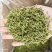 贵州安龙金银花花蕾净籽无硫，长期有货供应，量大价钱可优惠