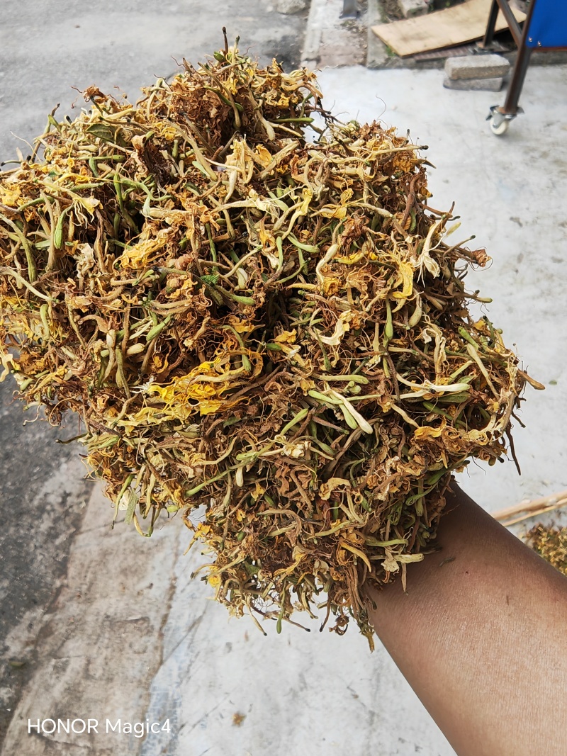 贵州安龙金银花花蕾净籽无硫，长期有货供应，量大价钱可优惠