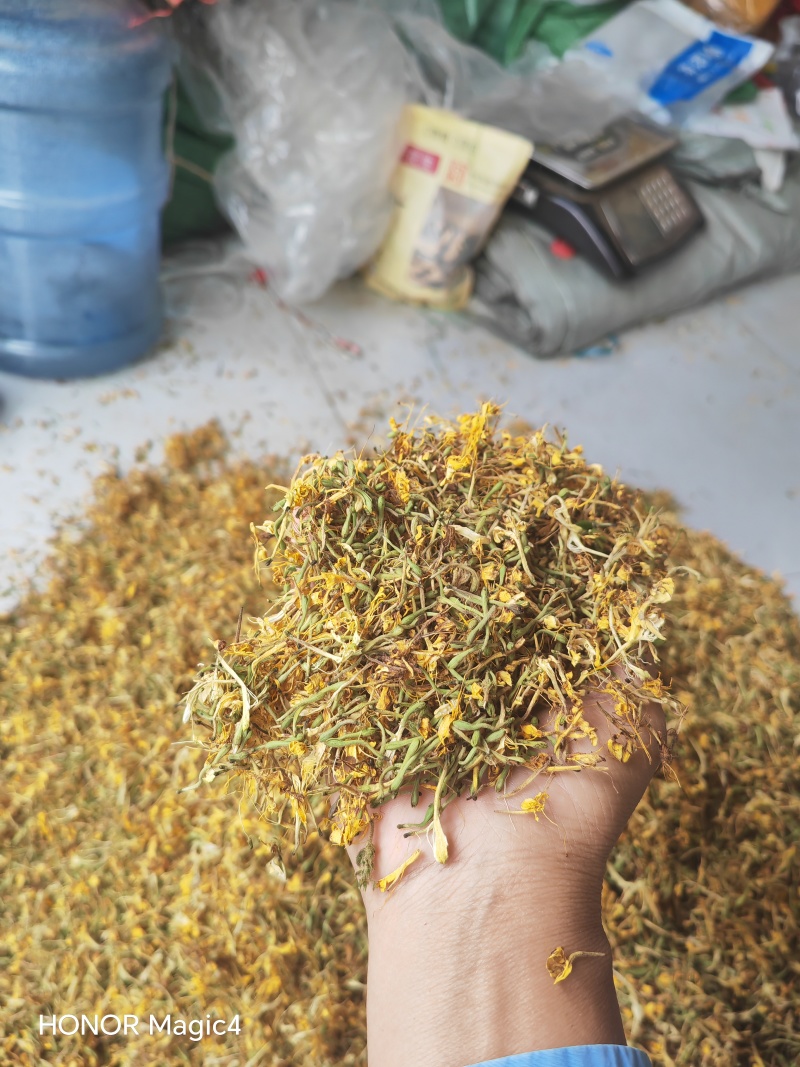 贵州安龙野生金银花，百分之七八十开花，晒花，无硫
