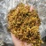 贵州安龙野生金银花，百分之七八十开花，晒花，无硫
