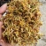 贵州安龙野生金银花，百分之七八十开花，晒花，无硫