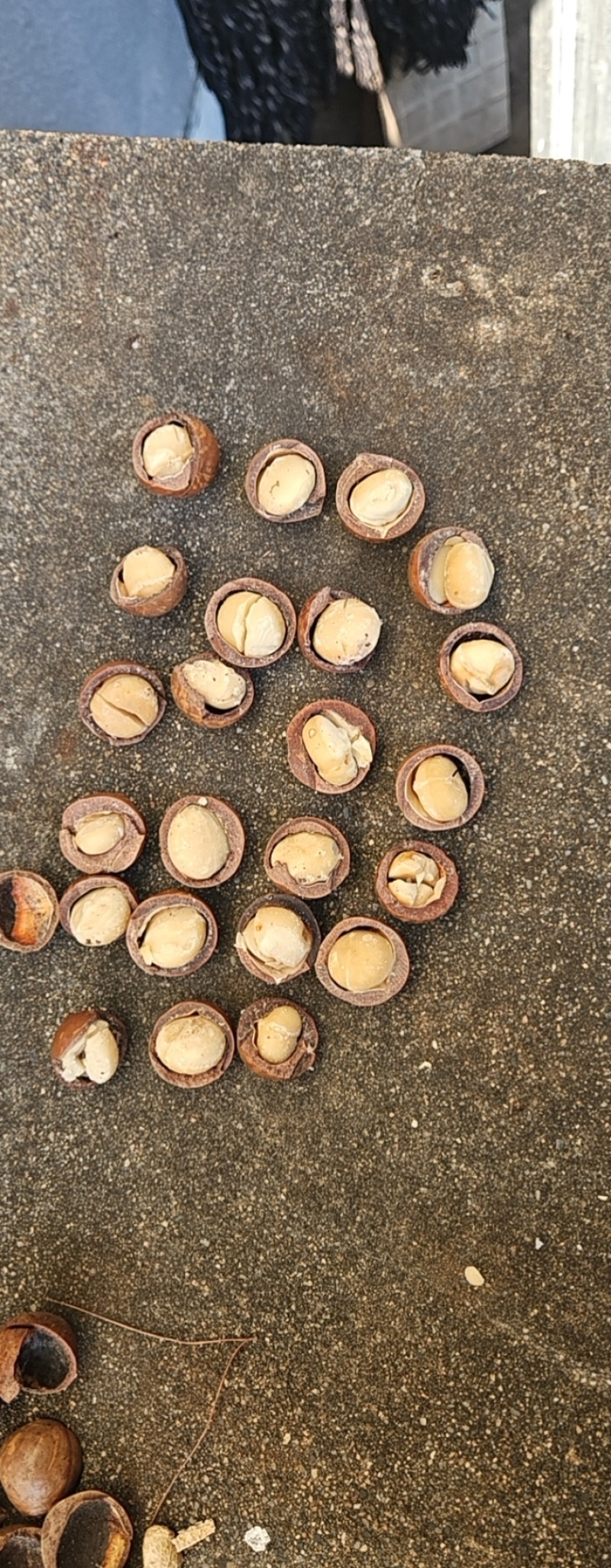 夏威夷果