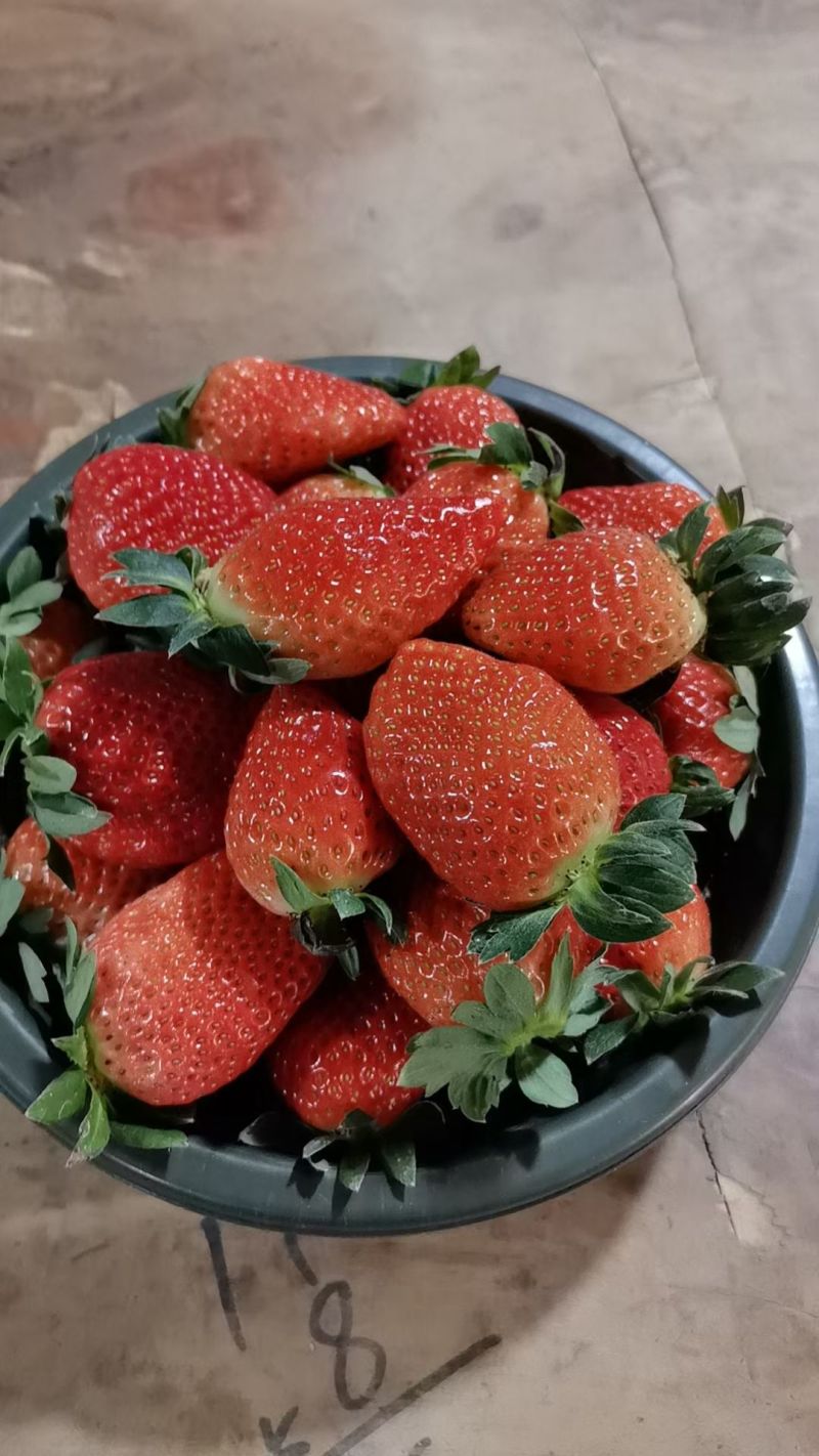 奶油草莓