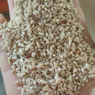 糙米，鹅粮