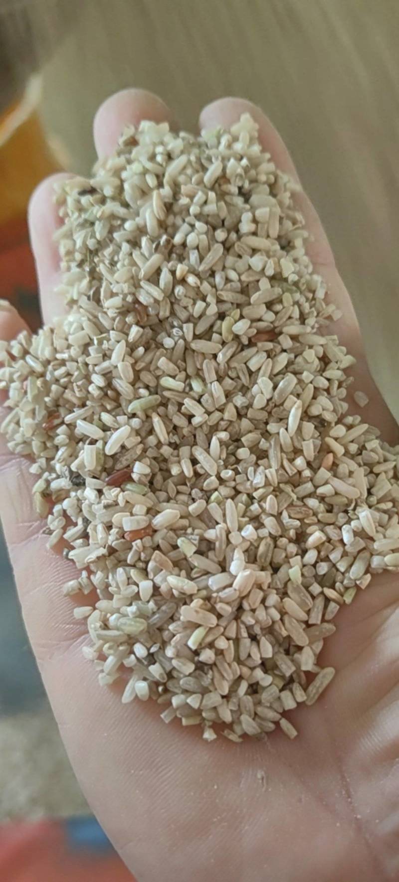 糙米，鹅粮