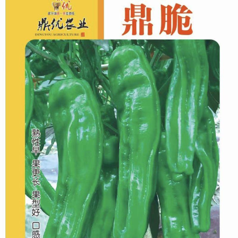 鼎脆辣椒种子早熟果更长皮薄有皱耐高温耐低温果型上下一致