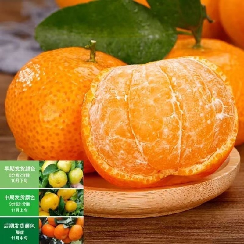 纯甜沙糖桔广西砂糖橘精选发货皮薄无渣