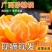 纯甜沙糖桔广西砂糖橘精选发货皮薄无渣