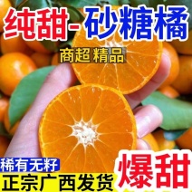 沙糖桔新鲜上市现摘现发大量上市对接市场档口