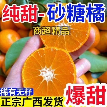 沙糖桔新鲜上市现摘现发大量上市对接市场档口