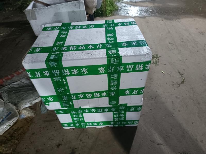 叶菜类/芹菜/水芹/江苏宿迁产地直供对接批发代收代卖