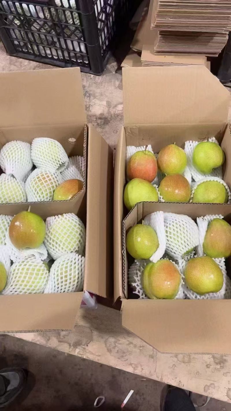 礼盒香梨颗颗精选清甜润心产地直发一手货源