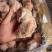 龙大带皮拐骨价格不高，酱卤熟食店**